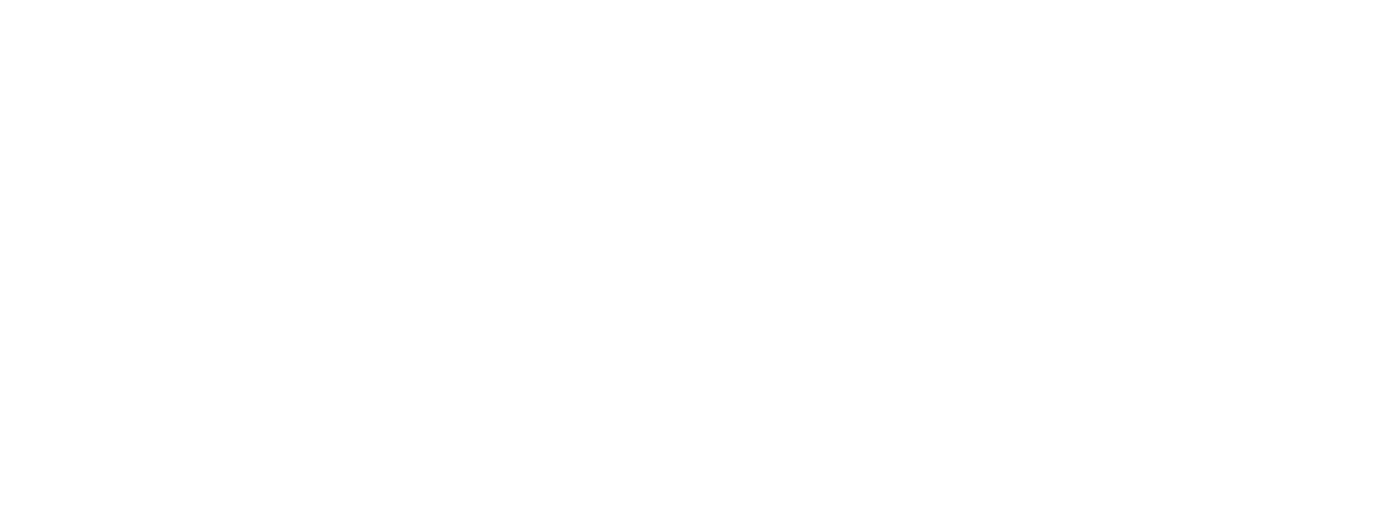 A cartoon owl with a baby owl popping out playfully from behind. "Polyvale Studios" in a handcrafted font.